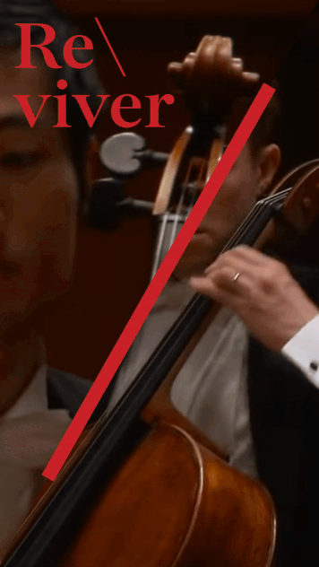 Rio Cello, image 23